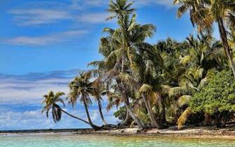 High Resolution Wallpaper Of Sea Image Ocean Island Imagebank