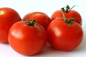 Colors Image Vermillion Tomato HD Wallpaper And Background Photos