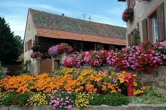 Wallpaper Fantastic Flowers In This World High