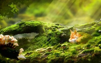 Most Relaxing Desktop Wallpaper The Art Mad