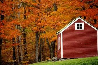 Mainefoliage Photo Gallery The Best Of Years Past