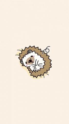 Manuel Luna On Logan Cute Cartoon Wallpaper Animal