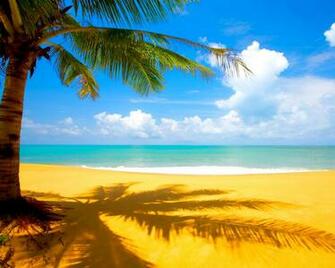 Summer Season Wallpaper Widescreen Cool