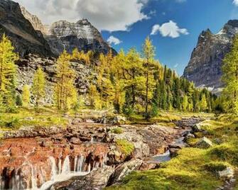 Rocky Valley Stream In Spring Wallpaper HD