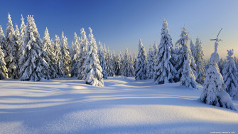 Nature Winter Wallpaper