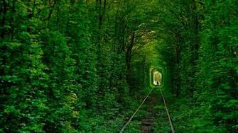 Tunnel Of Love In Klevan Ukraine Amos Chapple Getty Image