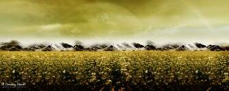 Google Themes Unknown Field Wallpaper