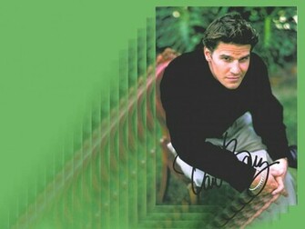 David Wallpaper Boreanaz