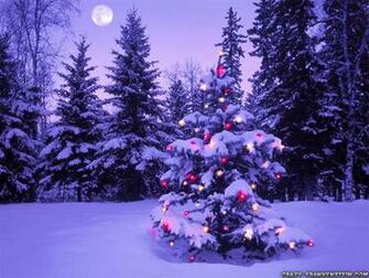 Wallpaper Christmas Lonely Tree