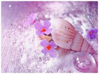 Description The Wallpaper Above Is Sea Shell Beach In