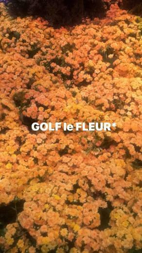 Flower Boy Tyler The Creator And Ofwgkta Image