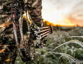 Home Forum Bowhunt Or Die