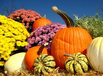 Let The Tide Pull Your Dreams Ashore Enjoying Fall