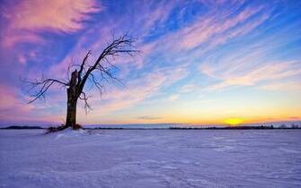 Winter Wallpaper HD