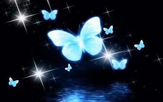 HD Wallpaper Of Butterfly Photos High