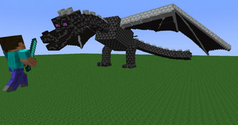 Ender Dragon S Revenge