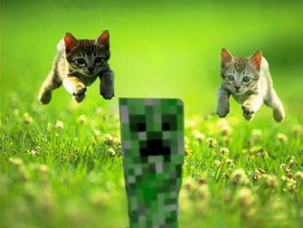 Better Than Wolves Forum Topic So Creepers Have