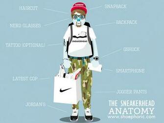 The Sneakerhead Anatomy
