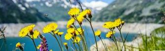 Fresh Spring Air 4k HD Desktop Wallpaper For Ultra Tv