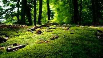Nature Desktop Pc And Mac Wallpaper