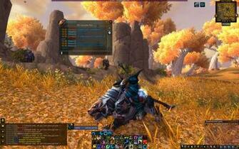 World Of Warcraft Feral Druid Wallpaper