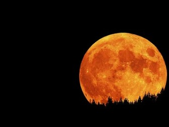 Moon Wallpaper