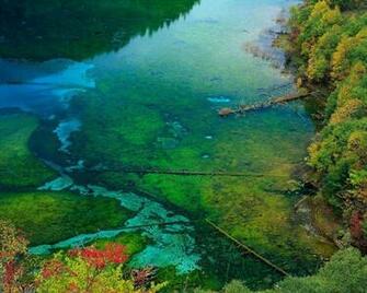 HD Wallpaper Nature On
