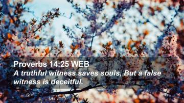 Proverbs Web Desktop Wallpaper A Truthful Witness Saves