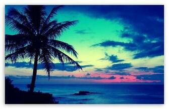 Tropical Sunrise HD Wallpaper For Standard Fullscreen Uxga Xga