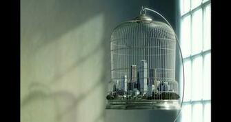Bird Cage City HD Wallpaper