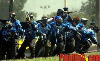 Dynasty Paintball Wallpaper Hawaii Dermatology