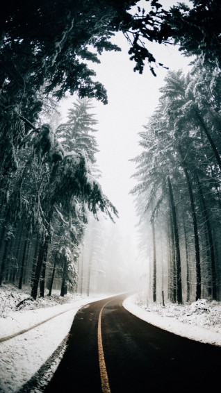 Gorgeous Winter Wallpaper For iPhone