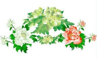 Image Snoopy Spring Desktop Wallpaper Pc Android