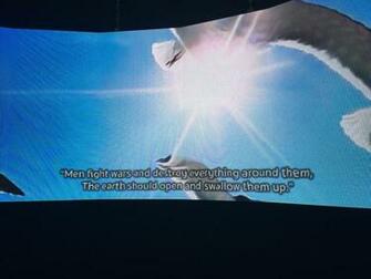 Hito Steyerl