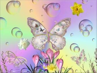 Butterflies In Spring Photo