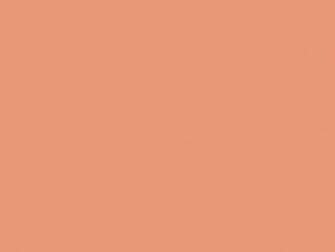 Color Salmon Picture