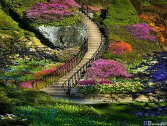 Garden Full HD Wallpaper For Computer