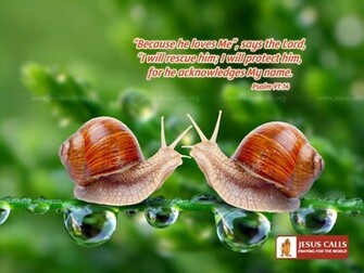 Right Click On This Image And Select Set As W Allpaper Or