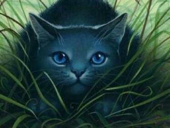 My Top Collection Warrior Cats Wallpaper