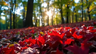 Red Autumn Leaves Wallpaper