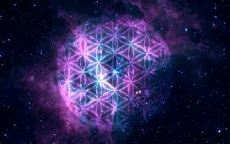 The Flower Of Life By Observer11235