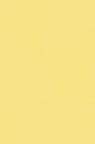 Paint Colours Dayroom Yellow Farrow Ball