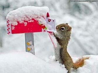 Funny And Interesting New Image Photos Cute Animals