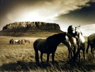 Wild Horses HD Wallpaper