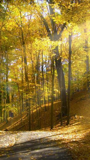 Landscape High Resolution HD Wallpaper Nature Landscapes