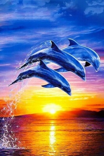 Dolphin Wallpaper 3d Android Apps On Google Play