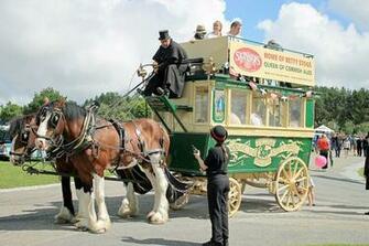 HD Wallpaper Horse Carriage Vintage Traditional