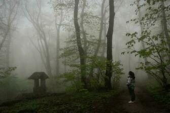 Sad Nature Pictures Image
