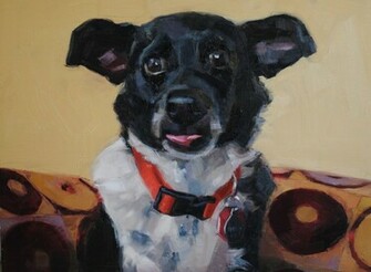 Dogs Wallpaper Cute Black Chihuahua M5x Eu