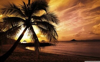 Sunset Pictures Tropical Island